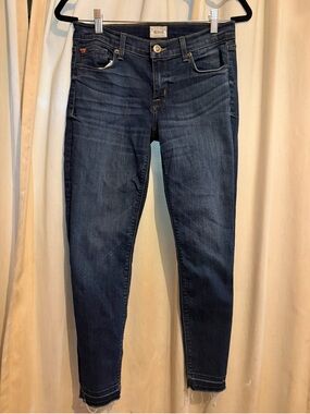 Hudson Jeans Indigo Skinny Stretch Denim